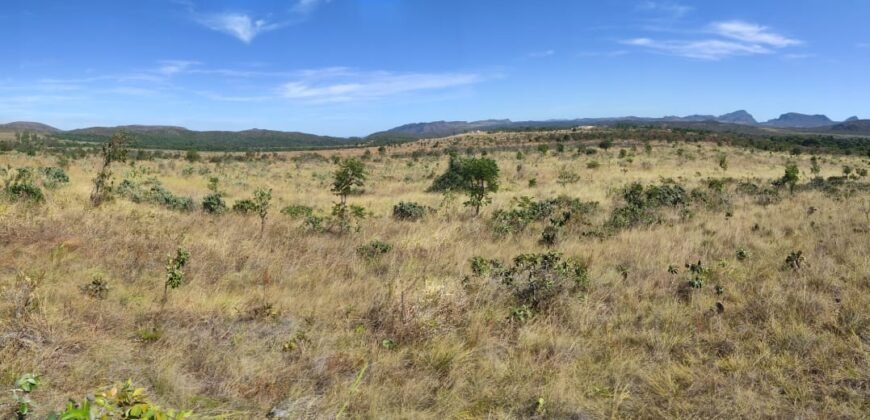 Chácara 5ha – na  Fazenda São Bento – entre Alto Paraíso e São Jorge