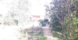 Casa – Rio – Lote 9.000 m2 – Alto Paraíso de Goiás