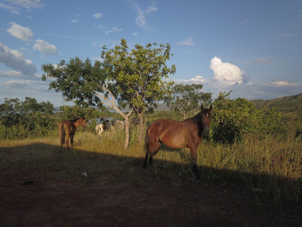 Linda Chácara 4,82ha – Lago Serra da Mesa – Niquelândia – Alto Paraíso de Goiás