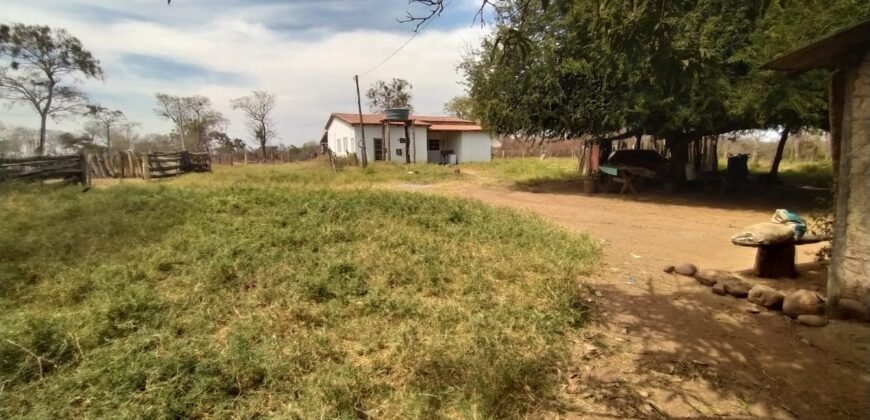 Fazenda 51ha – Beira Rio – Sertão – Alto Paraíso de Goiás