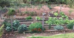 Fazenda 20 alqueires – Cachoeira – Próximo a Cachoeira Poço Encantado – Casa Sede – Nascente – Piscina aquecida – Alto Paraíso de Goiás Fazenda 20 alqueires – Cachoeira – Próximo a Cachoeira Poço Encantado – Casa Sede – Nascente – Piscina aquecida – Alto Paraíso de Goiás