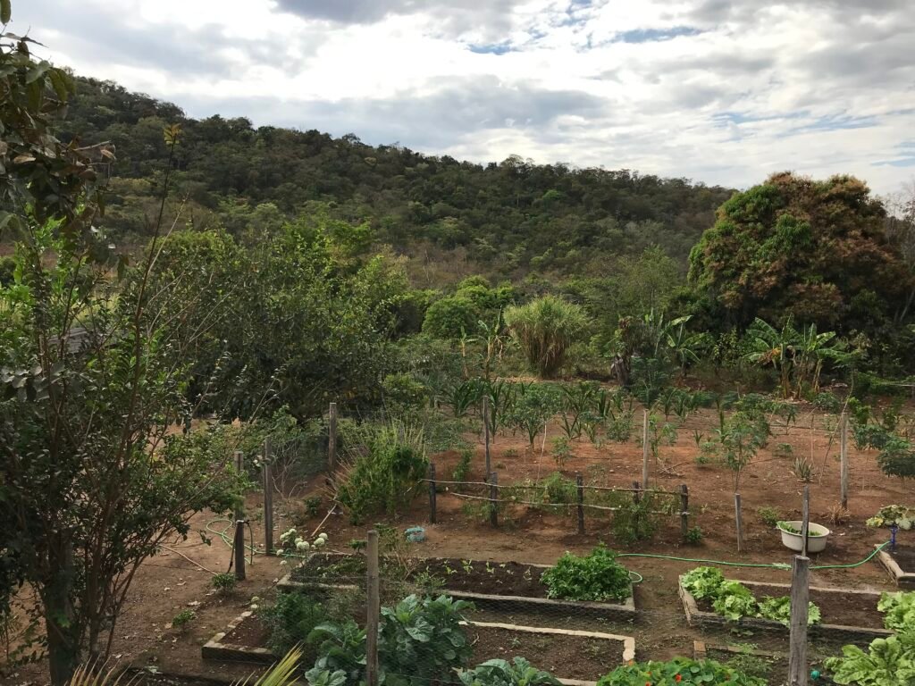 Fazenda  20 alqueires –  Cachoeira – Próximo a Cachoeira Poço Encantado – Casa Sede – Nascente – Piscina aquecida – Alto Paraíso de Goiás