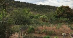 Fazenda 20 alqueires – Cachoeira – Próximo a Cachoeira Poço Encantado – Casa Sede – Nascente – Piscina aquecida – Alto Paraíso de Goiás Fazenda 20 alqueires – Cachoeira – Próximo a Cachoeira Poço Encantado – Casa Sede – Nascente – Piscina aquecida – Alto Paraíso de Goiás