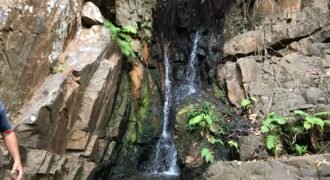 Fazenda 20 alqueires – Cachoeira – Próximo a Cachoeira Poço Encantado – Casa Sede – Nascente – Piscina aquecida – Alto Paraíso de Goiás Fazenda 20 alqueires – Cachoeira – Próximo a Cachoeira Poço Encantado – Casa Sede – Nascente – Piscina aquecida – Alto Paraíso de Goiás