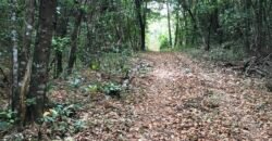 Fazenda 20 alqueires – Cachoeira – Próximo a Cachoeira Poço Encantado – Casa Sede – Nascente – Piscina aquecida – Alto Paraíso de Goiás Fazenda 20 alqueires – Cachoeira – Próximo a Cachoeira Poço Encantado – Casa Sede – Nascente – Piscina aquecida – Alto Paraíso de Goiás