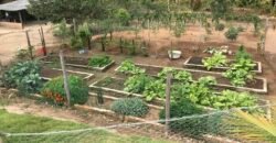 Fazenda 20 alqueires – Cachoeira – Próximo a Cachoeira Poço Encantado – Casa Sede – Nascente – Piscina aquecida – Alto Paraíso de Goiás Fazenda 20 alqueires – Cachoeira – Próximo a Cachoeira Poço Encantado – Casa Sede – Nascente – Piscina aquecida – Alto Paraíso de Goiás