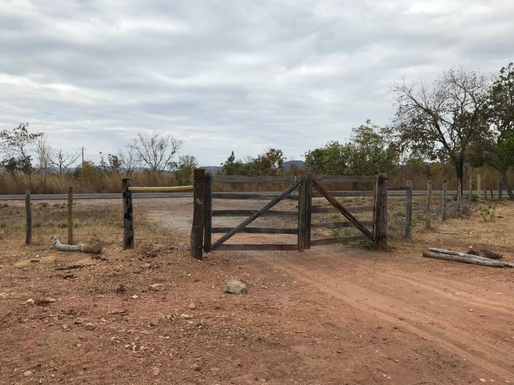 Fazenda Plana as Margens da GO 118 – Rio Paraná – 90 Alqueires – Município de Teresina de Goiás