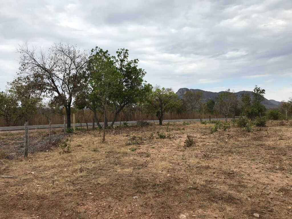 Fazenda Plana as Margens da GO 118 – Rio Paraná – 90 Alqueires – Município de Teresina de Goiás