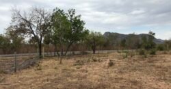 Fazenda Plana as Margens da GO 118 – Rio Paraná – 90 Alqueires – Município de Teresina de Goiás