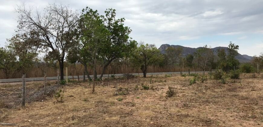 Fazenda Plana as Margens da GO 118 – Rio Paraná – 90 Alqueires – Município de Teresina de Goiás