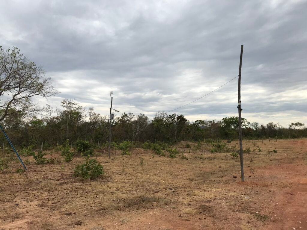 Fazenda Plana as Margens da GO 118 – Rio Paraná – 90 Alqueires – Município de Teresina de Goiás
