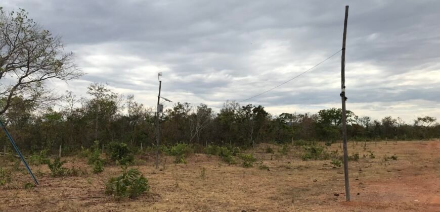 Fazenda Plana as Margens da GO 118 – Rio Paraná – 90 Alqueires – Município de Teresina de Goiás