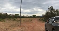 Fazenda Plana as Margens da GO 118 – Rio Paraná – 90 Alqueires – Município de Teresina de Goiás