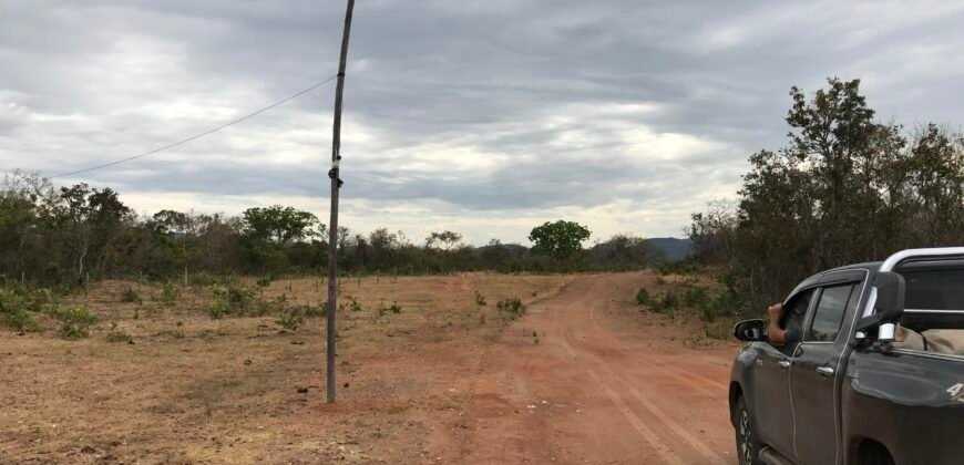 Fazenda Plana as Margens da GO 118 – Rio Paraná – 90 Alqueires – Município de Teresina de Goiás
