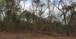 Fazenda Plana as Margens da GO 118 – Rio Paraná – 90 Alqueires – Município de Teresina de Goiás