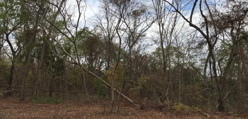 Fazenda Plana as Margens da GO 118 – Rio Paraná – 90 Alqueires – Município de Teresina de Goiás