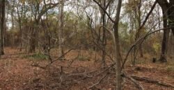 Fazenda Plana as Margens da GO 118 – Rio Paraná – 90 Alqueires – Município de Teresina de Goiás