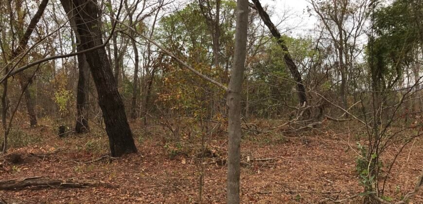 Fazenda Plana as Margens da GO 118 – Rio Paraná – 90 Alqueires – Município de Teresina de Goiás