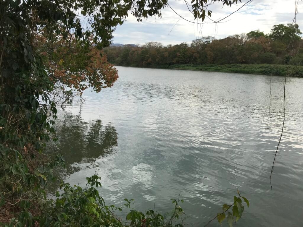 Fazenda Plana as Margens da GO 118 – Rio Paraná – 90 Alqueires – Município de Teresina de Goiás
