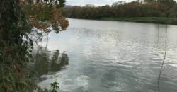 Fazenda Plana as Margens da GO 118 – Rio Paraná – 90 Alqueires – Município de Teresina de Goiás