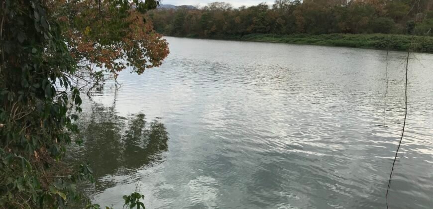Fazenda Plana as Margens da GO 118 – Rio Paraná – 90 Alqueires – Município de Teresina de Goiás