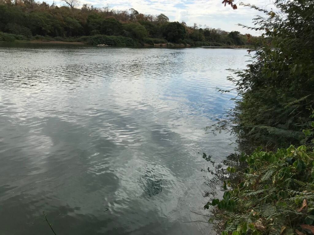 Fazenda Plana as Margens da GO 118 – Rio Paraná – 90 Alqueires – Município de Teresina de Goiás