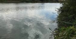 Fazenda Plana as Margens da GO 118 – Rio Paraná – 90 Alqueires – Município de Teresina de Goiás