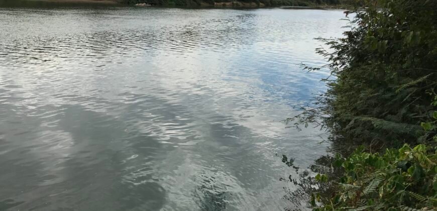 Fazenda Plana as Margens da GO 118 – Rio Paraná – 90 Alqueires – Município de Teresina de Goiás