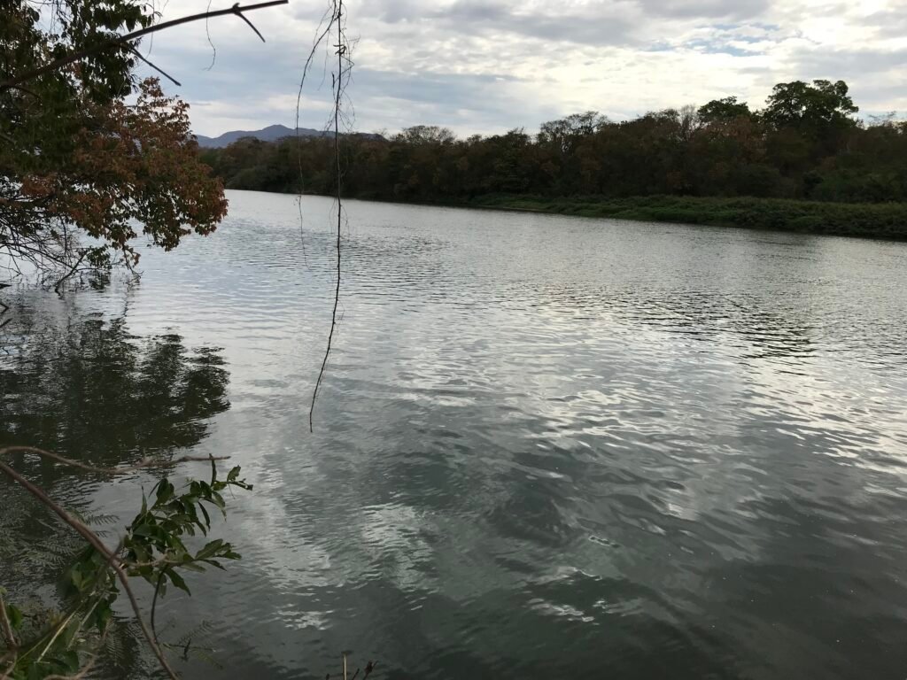 Fazenda Plana as Margens da GO 118 – Rio Paraná – 90 Alqueires – Município de Teresina de Goiás