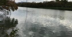 Fazenda Plana as Margens da GO 118 – Rio Paraná – 90 Alqueires – Município de Teresina de Goiás