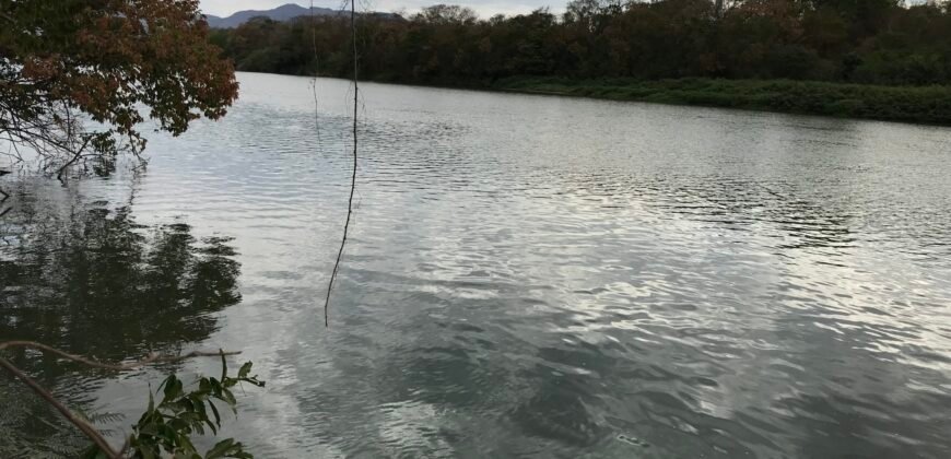 Fazenda Plana as Margens da GO 118 – Rio Paraná – 90 Alqueires – Município de Teresina de Goiás