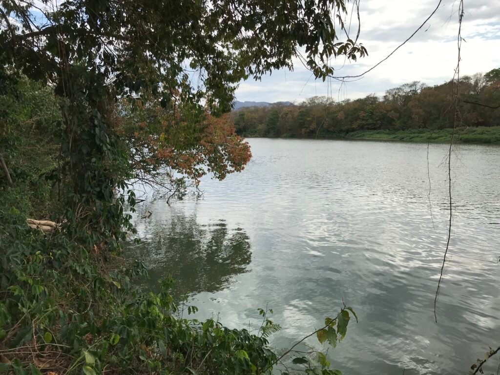 Fazenda Plana as Margens da GO 118 – Rio Paraná – 90 Alqueires – Município de Teresina de Goiás