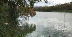 Fazenda Plana as Margens da GO 118 – Rio Paraná – 90 Alqueires – Município de Teresina de Goiás