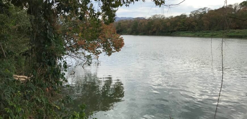 Fazenda Plana as Margens da GO 118 – Rio Paraná – 90 Alqueires – Município de Teresina de Goiás