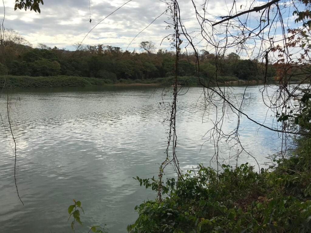 Fazenda Plana as Margens da GO 118 – Rio Paraná – 90 Alqueires – Município de Teresina de Goiás