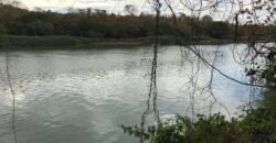 Fazenda Plana as Margens da GO 118 – Rio Paraná – 90 Alqueires – Município de Teresina de Goiás