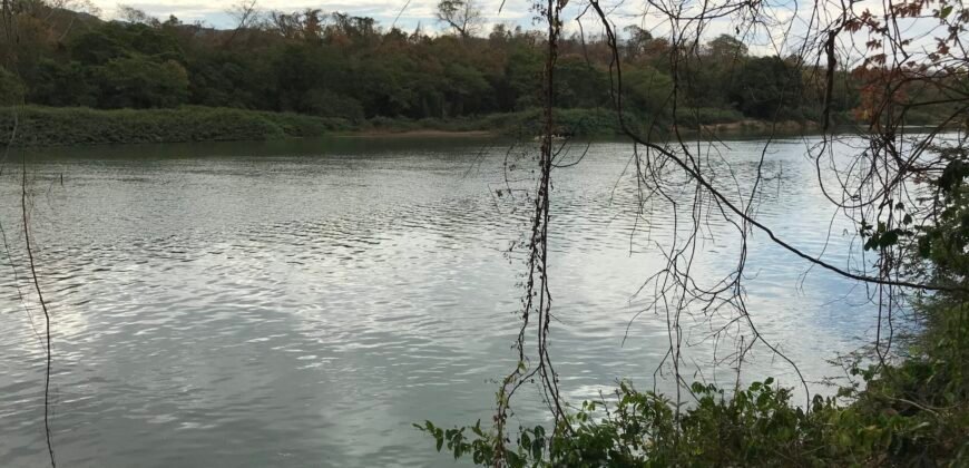 Fazenda Plana as Margens da GO 118 – Rio Paraná – 90 Alqueires – Município de Teresina de Goiás