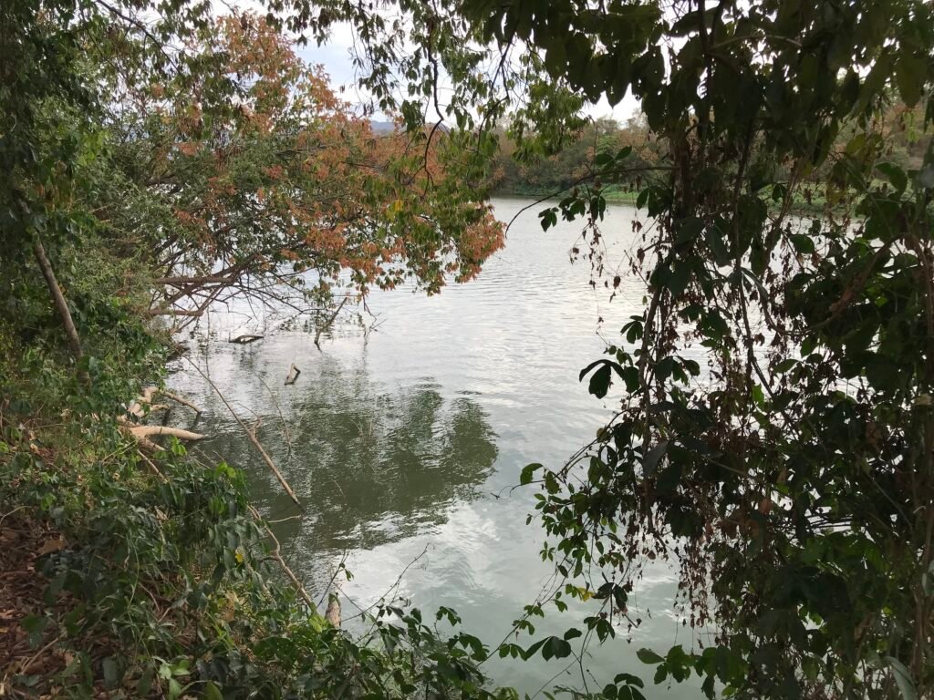 Fazenda Plana as Margens da GO 118 – Rio Paraná – 90 Alqueires – Município de Teresina de Goiás