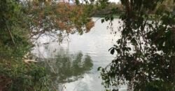 Fazenda Plana as Margens da GO 118 – Rio Paraná – 90 Alqueires – Município de Teresina de Goiás