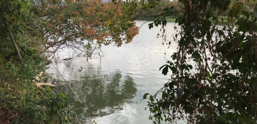 Fazenda Plana as Margens da GO 118 – Rio Paraná – 90 Alqueires – Município de Teresina de Goiás