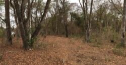 Fazenda Plana as Margens da GO 118 – Rio Paraná – 90 Alqueires – Município de Teresina de Goiás