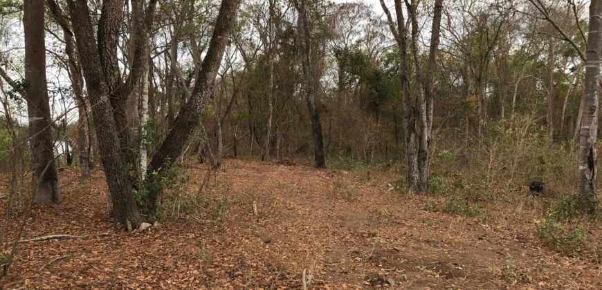 Fazenda Plana as Margens da GO 118 – Rio Paraná – 90 Alqueires – Município de Teresina de Goiás