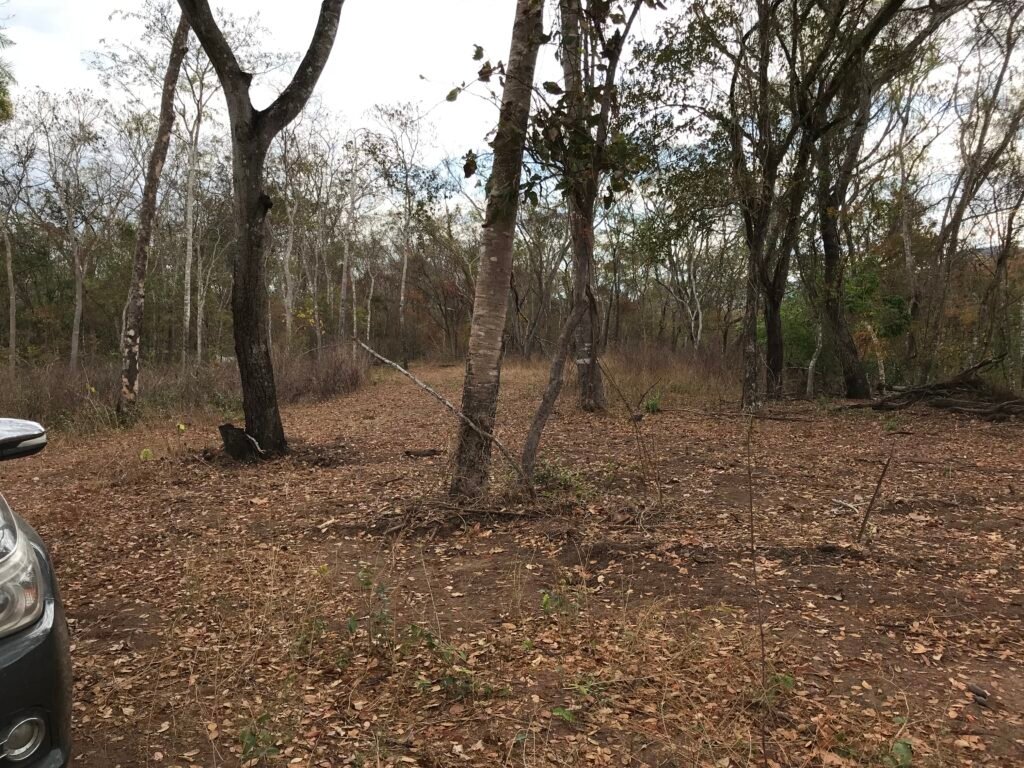 Fazenda Plana as Margens da GO 118 – Rio Paraná – 90 Alqueires – Município de Teresina de Goiás