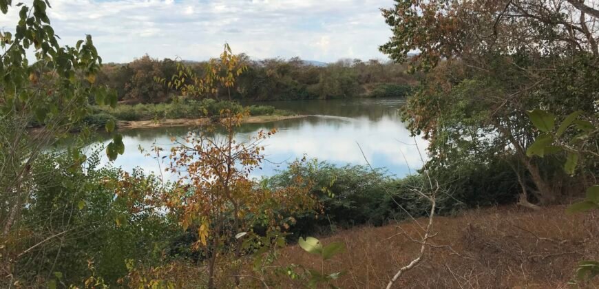 Fazenda Plana as Margens da GO 118 – Rio Paraná – 90 Alqueires – Município de Teresina de Goiás