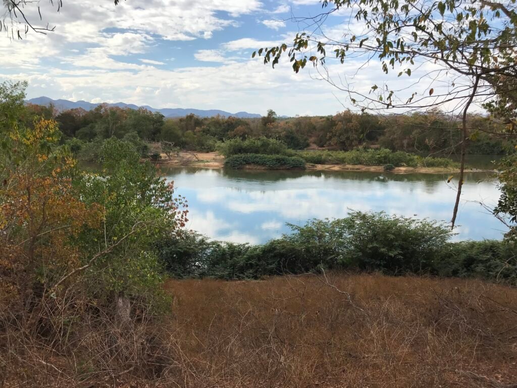 Fazenda Plana as Margens da GO 118 – Rio Paraná – 90 Alqueires – Município de Teresina de Goiás