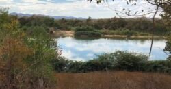 Fazenda Plana as Margens da GO 118 – Rio Paraná – 90 Alqueires – Município de Teresina de Goiás