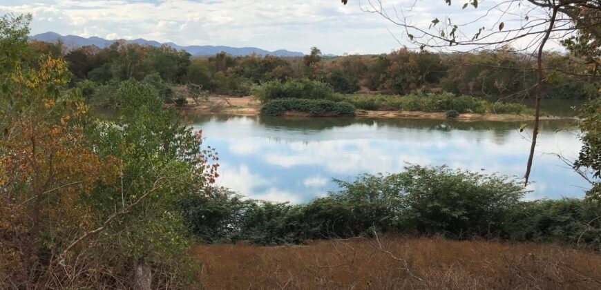 Fazenda Plana as Margens da GO 118 – Rio Paraná – 90 Alqueires – Município de Teresina de Goiás