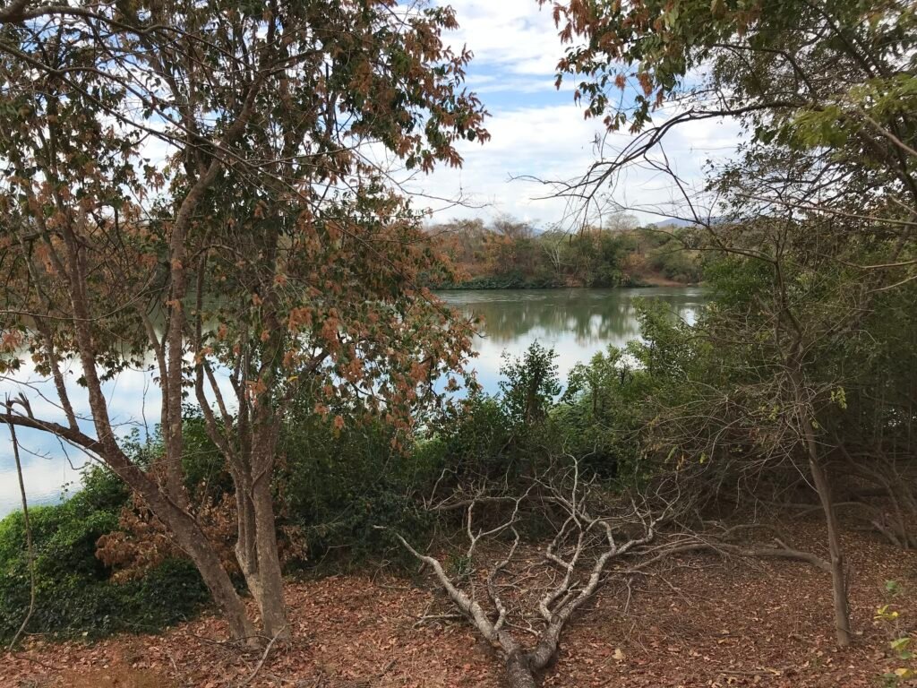Fazenda Plana as Margens da GO 118 – Rio Paraná – 90 Alqueires – Município de Teresina de Goiás