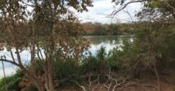 Fazenda Plana as Margens da GO 118 – Rio Paraná – 90 Alqueires – Município de Teresina de Goiás