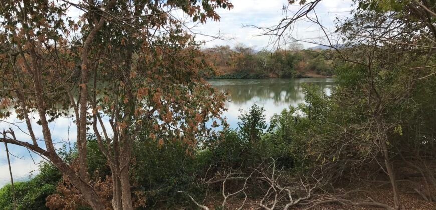 Fazenda Plana as Margens da GO 118 – Rio Paraná – 90 Alqueires – Município de Teresina de Goiás